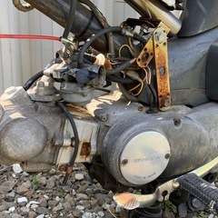 カブ C70 原付 原チャリ カブ70の画像