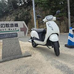 【美車】DP12H 現行アドレス125 走行1300km