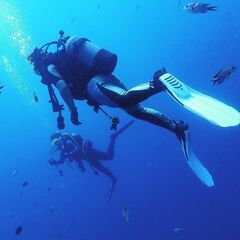 深海ロマンス ～潜って見つける運命の人～   