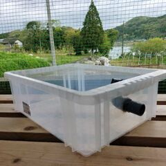 メダカ容器　金魚容器