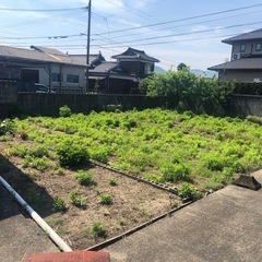 伐採、引っ越し、不用品なんでもできます！