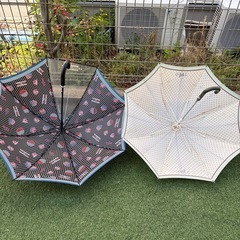 子供用　傘　2本セットの画像