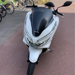 PCX125 JF81【大阪・自賠責付・早い者勝ち❗️】