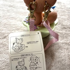 ディズニーリーナベルスナックケースの画像