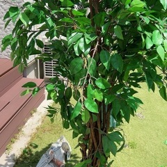 木の飾り物
