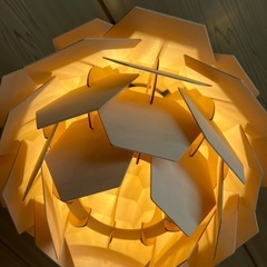 照明かさ