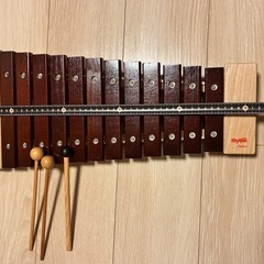 木琴
の画像