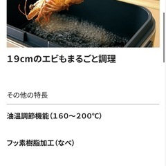 ⭐️象印　電気フライヤーの画像