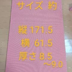 値下げ！ヨガ マット ピンク サイズ大きめ クッション厚め しっかりめの画像