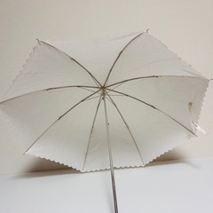 ハーディエイミス 折りたたみ 日傘 の画像