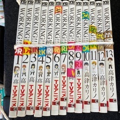 全巻セットです
