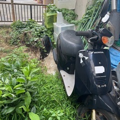 ホンダDIOフィット
の画像