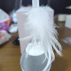 猫のおもちゃの画像