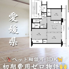 【愛媛県・上野町】3DK/様々なお客様にご対応可能な物件で…