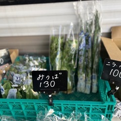 小松菜・ニラ一袋¥100✨の画像