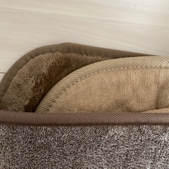 ★カーペット　中古