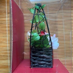 母の日ギフトの画像