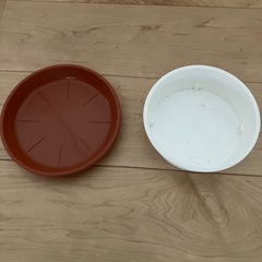 鉢　皿