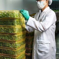 1050円 フルタイム仕分け作業　糸満市の画像