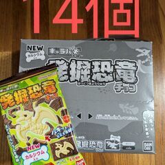 キャラパキ 発掘恐竜チョコ 14個