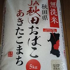 秋田県産あきたこまち無洗米５kg×２個