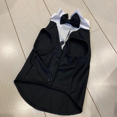 犬服 タキシード 小型犬用