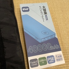 電熱ベスト　レディースM の画像