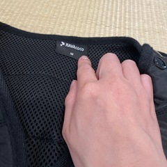 電熱ベスト　レディースM の画像