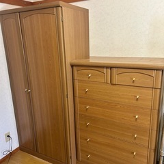 衣類収納 クローゼット 衣類箪笥 ワードローブ タンス 2つ 