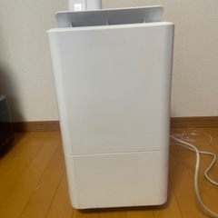 アイリスオーヤマ　コンパクトクーラーICP-0301Gの画像