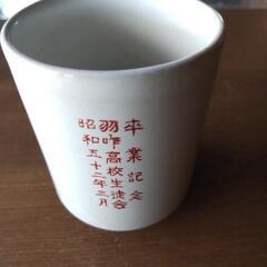 卒業記念の湯呑み