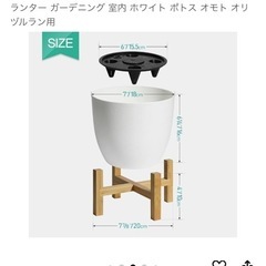 ①竹製スタンド込み⭐️シェフレラ レナータの画像
