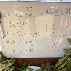 山菜、タラの芽、ウド、フキ