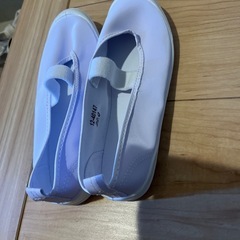 上靴