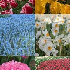 お友達になってくれる方 - 北区
