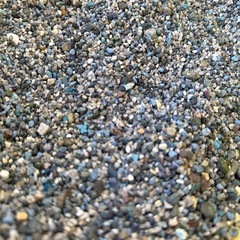 金魚　砂利の画像