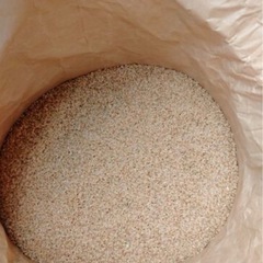 令和6年度産　コシヒカリ　本日精米