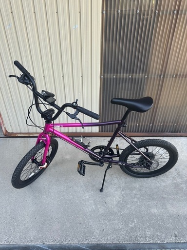 tern f1 ミニベロ