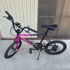 tern f1 ミニベロ