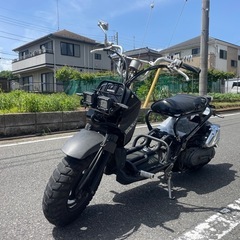 カスタム多数！ロンホイ　AF58 ズーマー