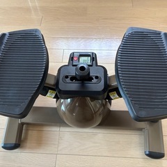 東急スポーツオアシス　ツイストエアロステッパー