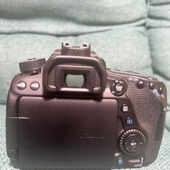 Canon 80D    キャノン
  の画像