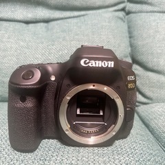 Canon 80D    キャノン
  
