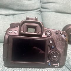 Canon 80D    キャノン
  の画像
