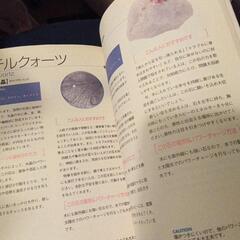 天然石の書籍、パワーストーン、未使用の画像