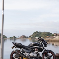 GSR250の画像