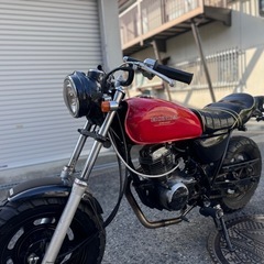 HONDA エイプ50 大人気車種✨早い者勝ち❗️