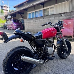 HONDA エイプ50 大人気車種✨早い者勝ち❗️の画像