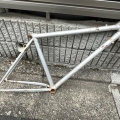 BRIDGESTONE ワイルドウエスト オールドmtb ジャンク