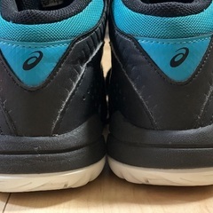23cm男児バッシュdunkshotの画像